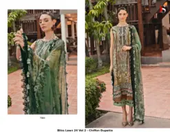 Bliss Lawn 24 Vol 2 - Chiffon Dupatta