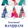 Shree Ganesh Bandhani Vol 3