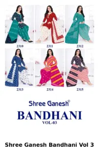 Shree Ganesh Bandhani Vol 3