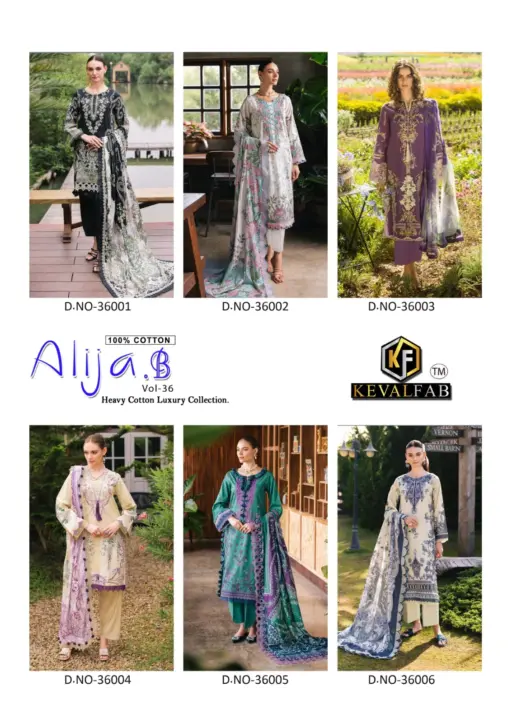 Keval Alija.B Vol 36 - Image 5