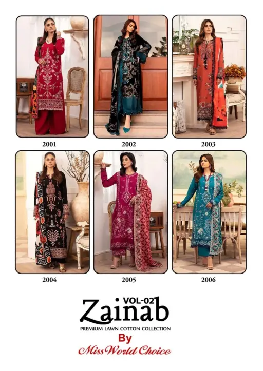 Miss World Zainab Vol 2 - Image 8