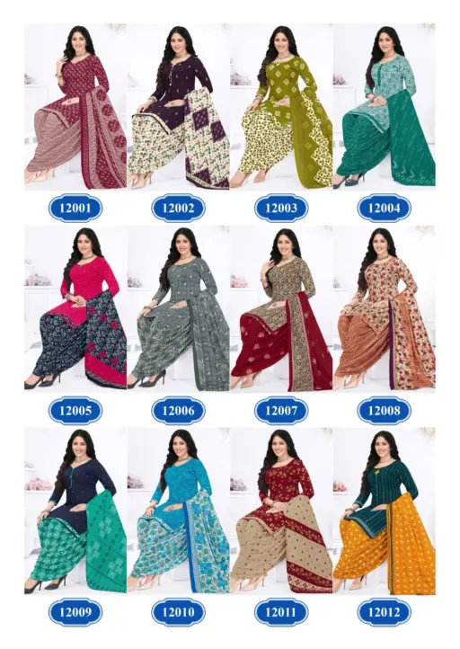 Rajasthan Nykaa Vol 12 - Image 14
