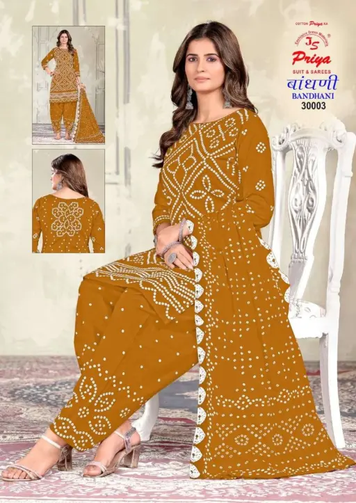 Js Priya Bandhani Vol 30 - Image 4